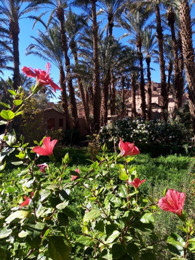 Du Draa Lodge Ouled Otmane